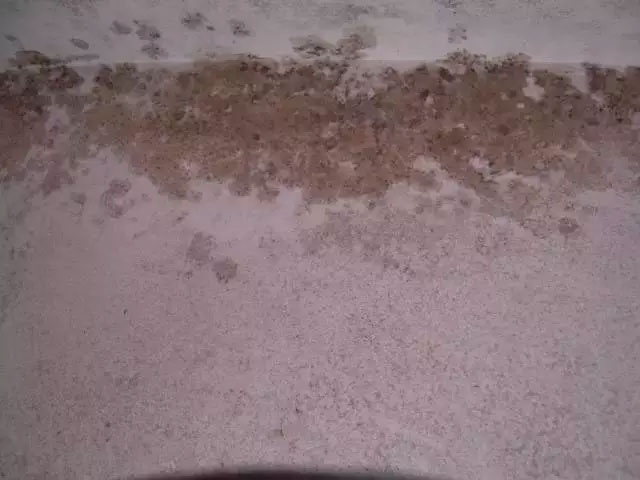 ā�ӷ۵�9��Ҋ���}����Q�k��